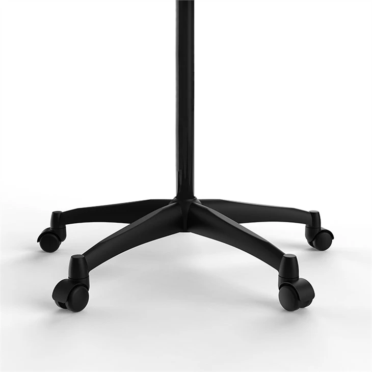 Salon Hair Steamer